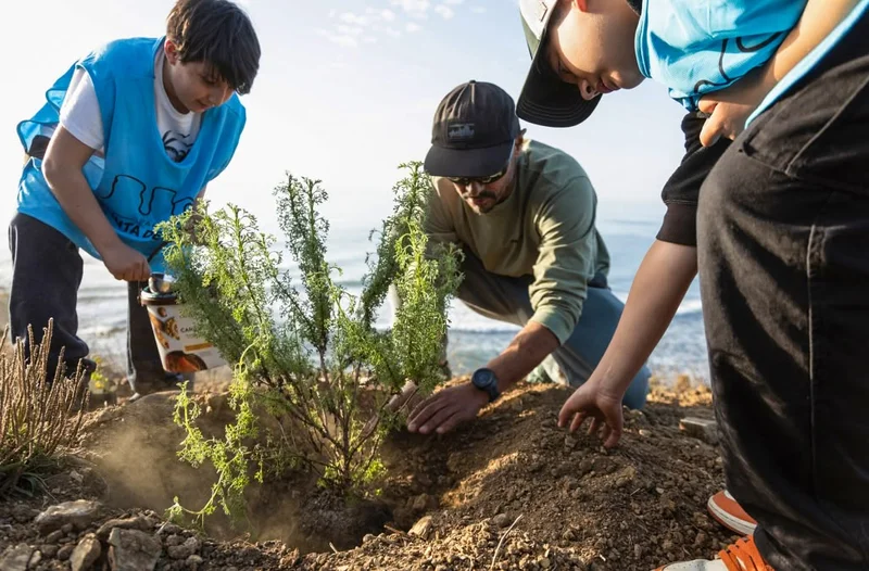 Three people put a plant in the ground by the beach.
