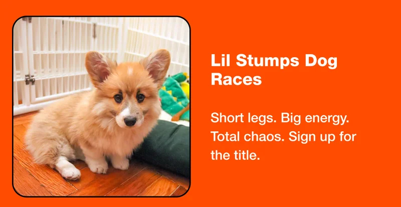 Lil Stumps Dog Races