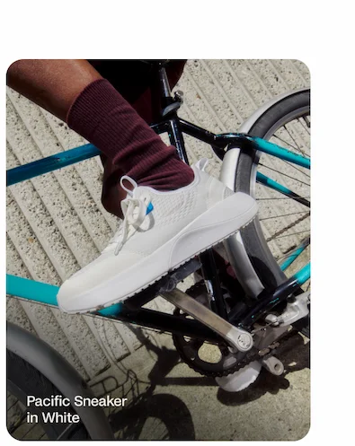 Pacific Sneaker in White