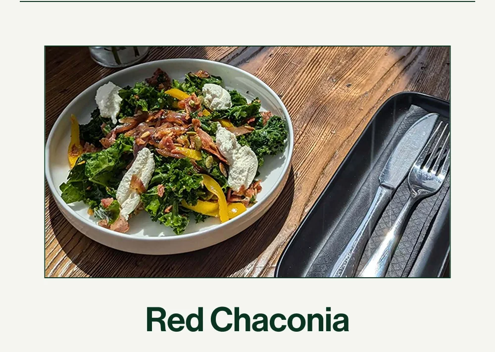 Red Chaconia
