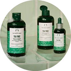 Tea Tree