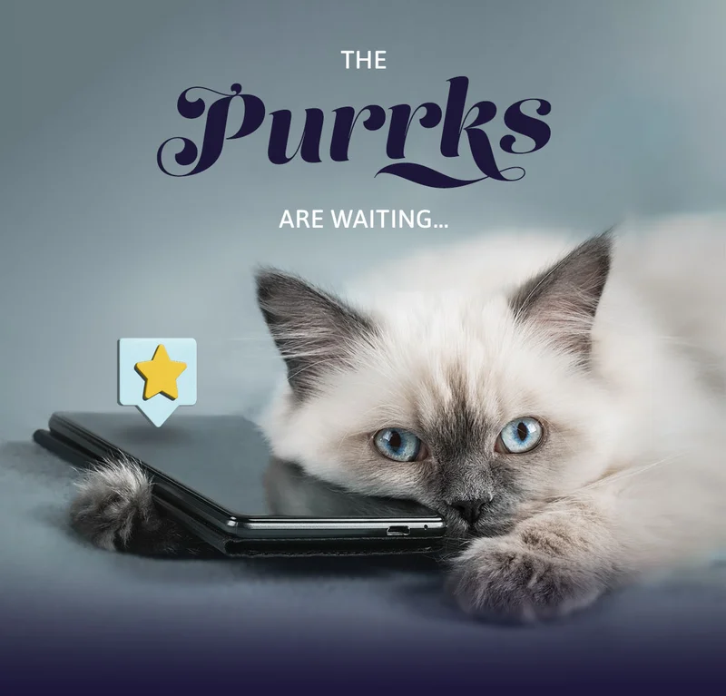 THE PURRKS ARE WAITING…