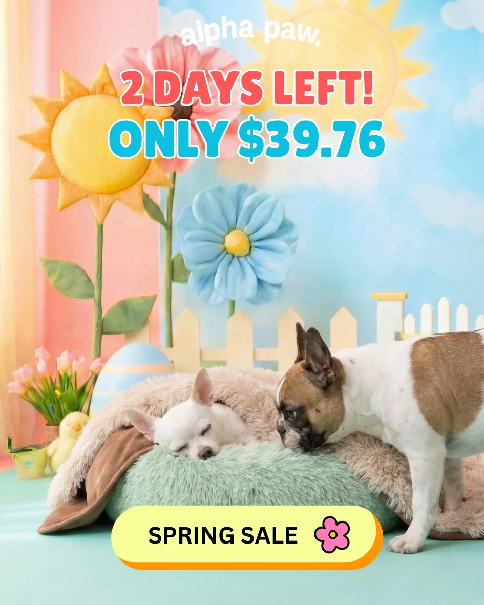 Hoppy Days