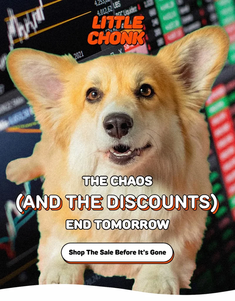 Shop The Sale Before It’s Gone