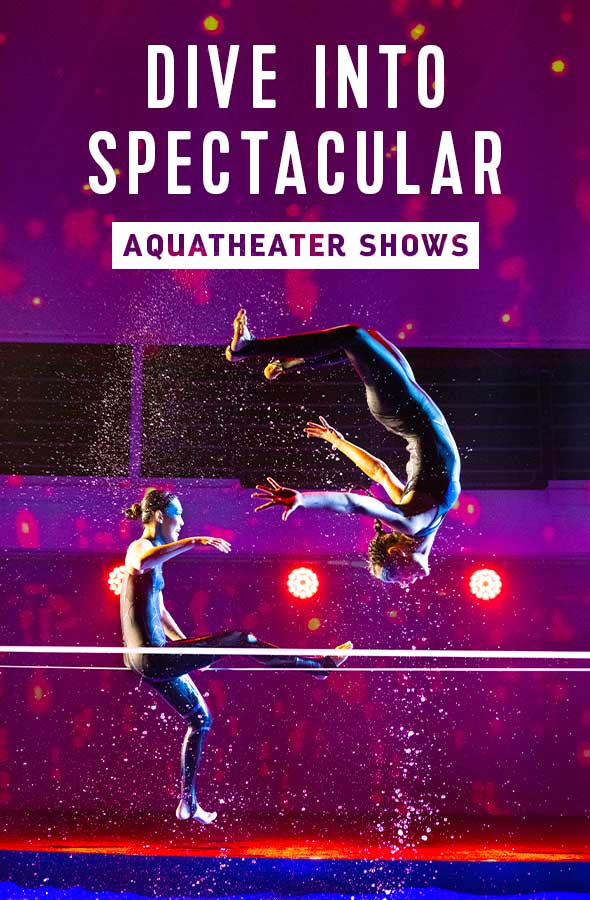 DIVE INTO SPECTACULAR - AQUATHEATER SHOWS
