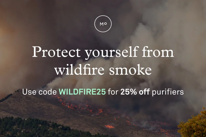Protect yourself from the some caused by LA wildfires