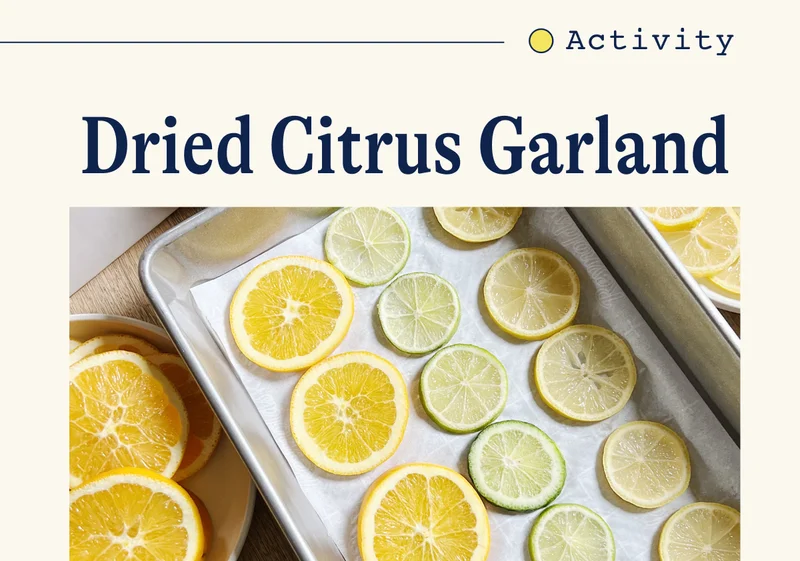 Activity: Dried Citrus Garland