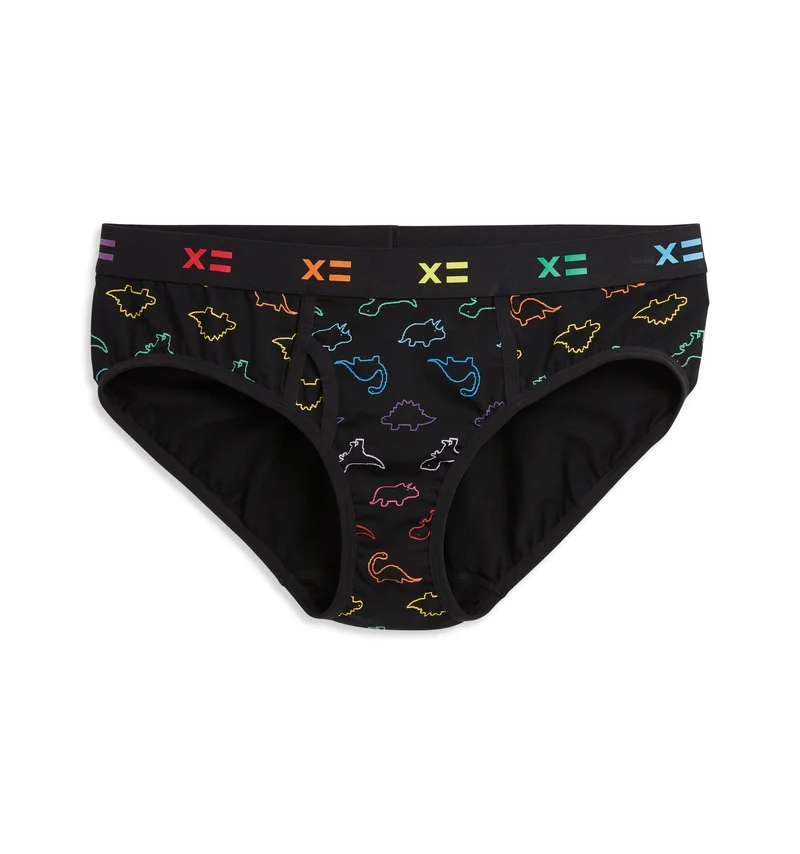 Image of Iconic Briefs - Rainbow DinoByte