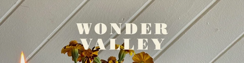 WONDER VALLEY