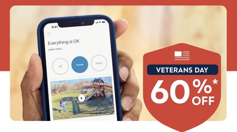 Veterans Day - 60% off