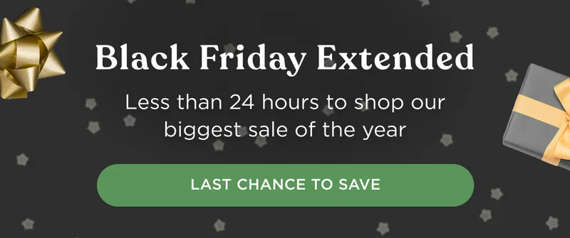 24 Hour Extended Black Friday