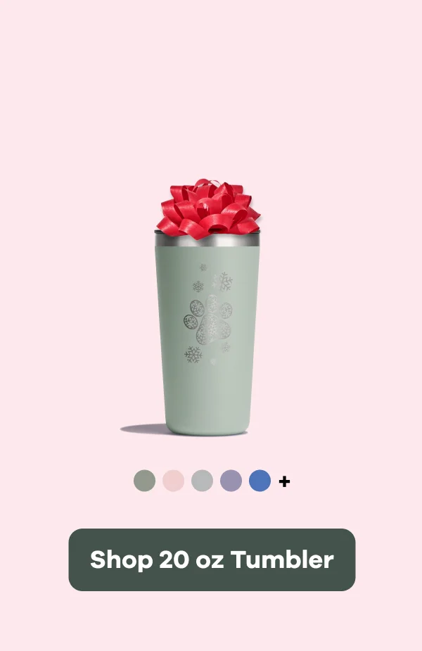 Shop 20 oz Tumbler