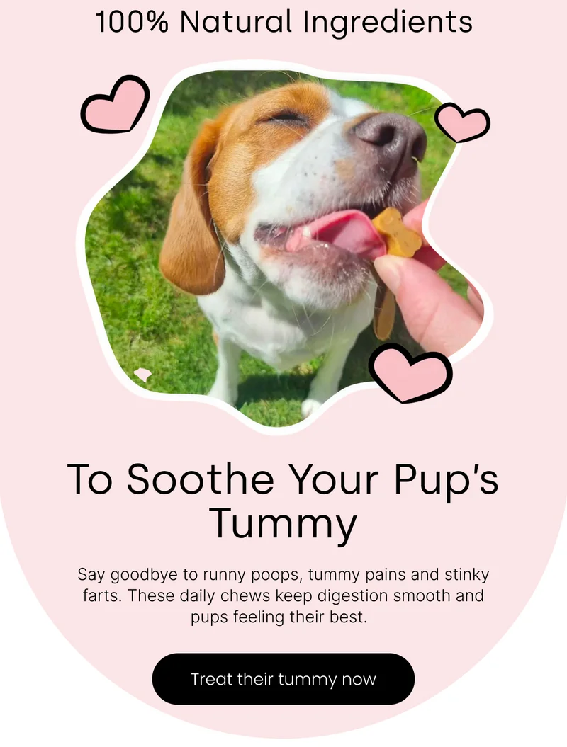Treat their tummy now