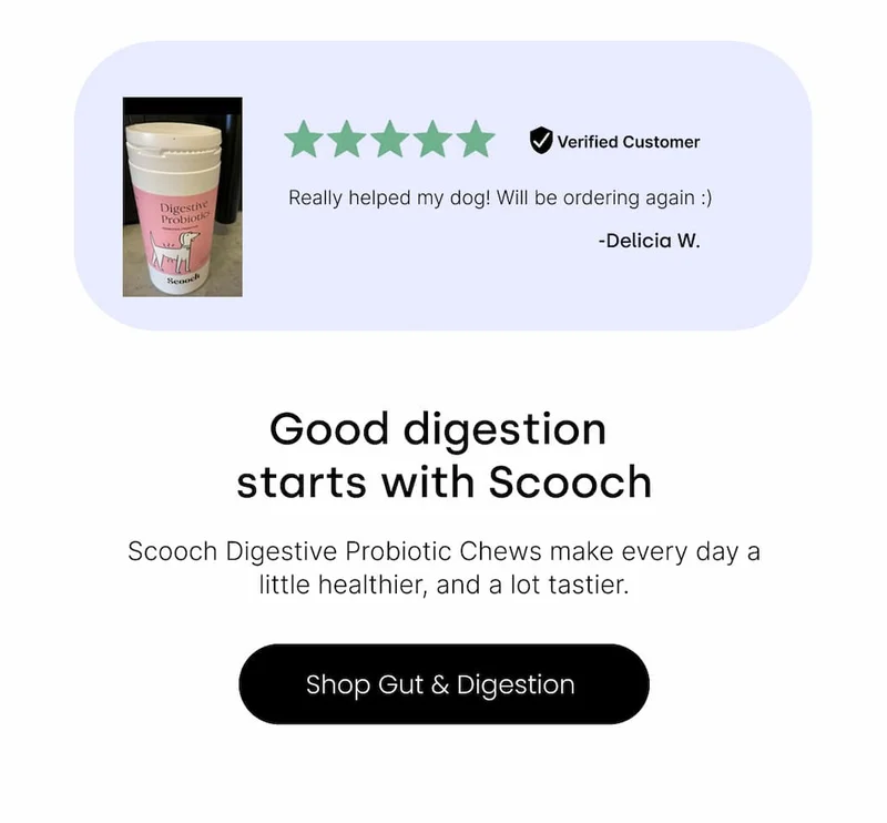 Shop Gut & Digestion
