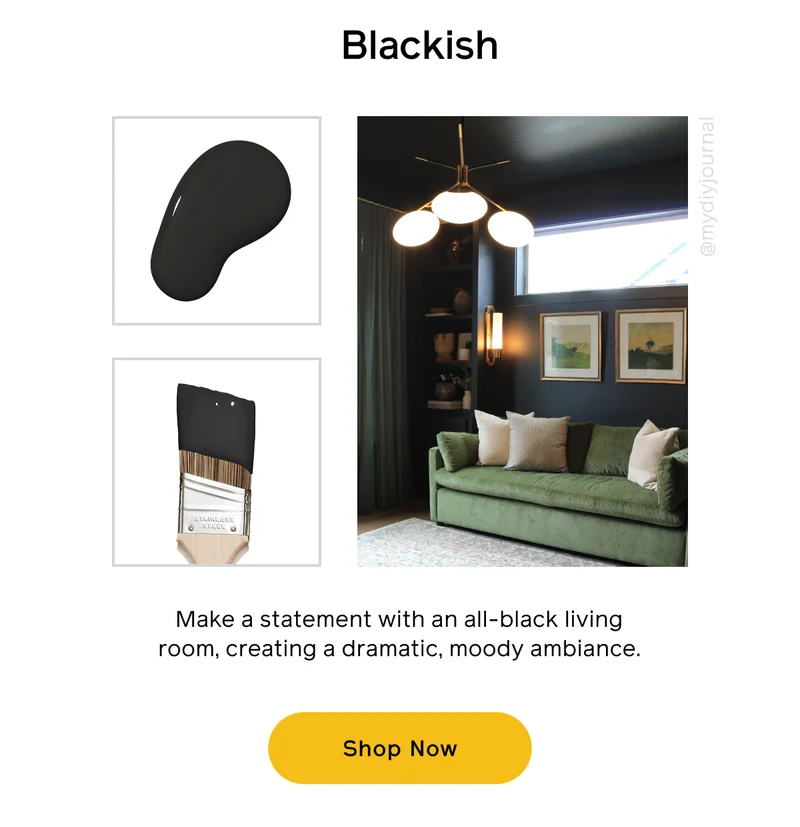 Blackish. Make a statement with an all-black living room, creating a dramatic, moody ambiance. Shop Now
