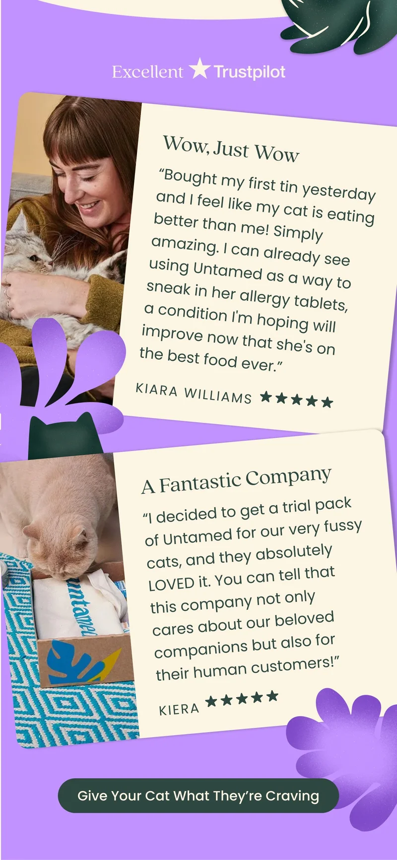 Give Your Cat What They're Craving