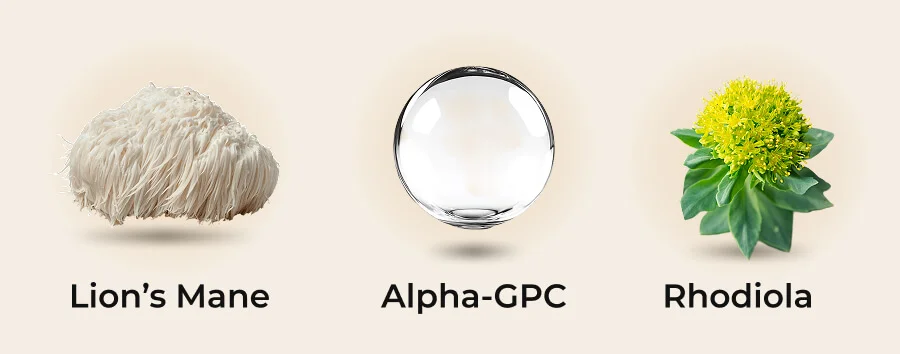 Lion’s Mane | Alpha-GPC | Rhodiola