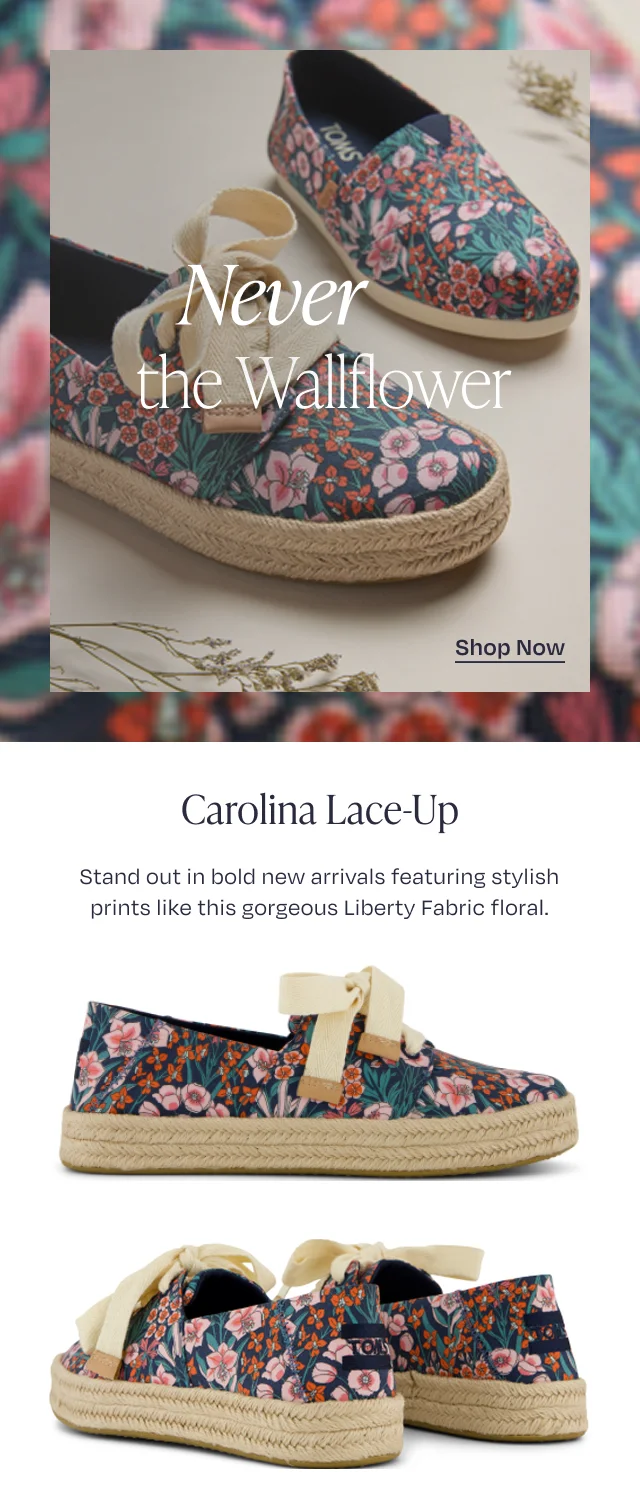 Never the Wallflower - Image