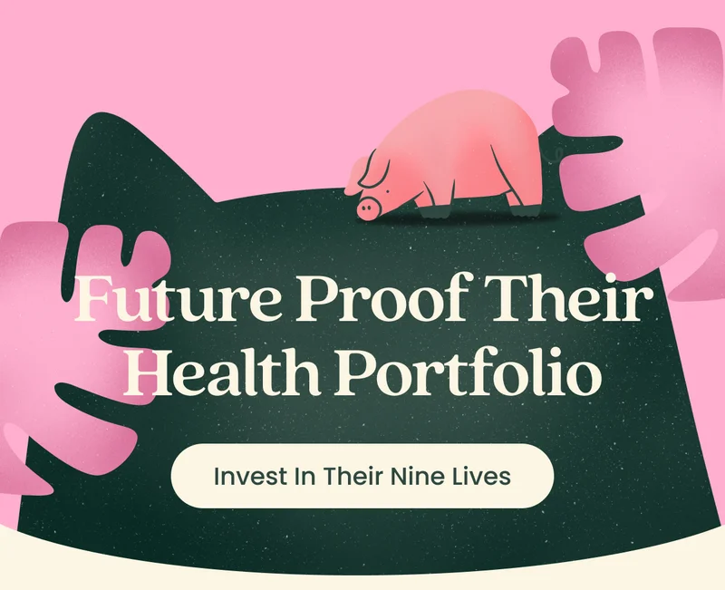 Invest In Their Nine Lives