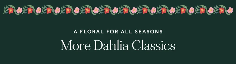 Shop the Delphine Room