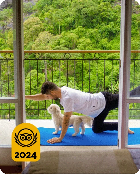 Image Description: A person doing yoga with their dog on a balcony overlooking green trees. A gold 2024 Travelers’ Choice Award Best of the Best badge is on the bottom left corner.