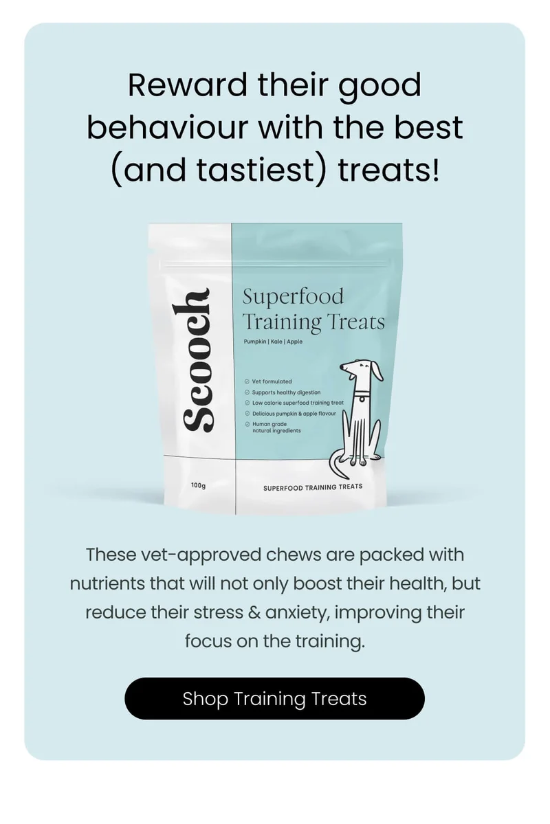 Reward their good behaviour with the best (and tastiest) treats!