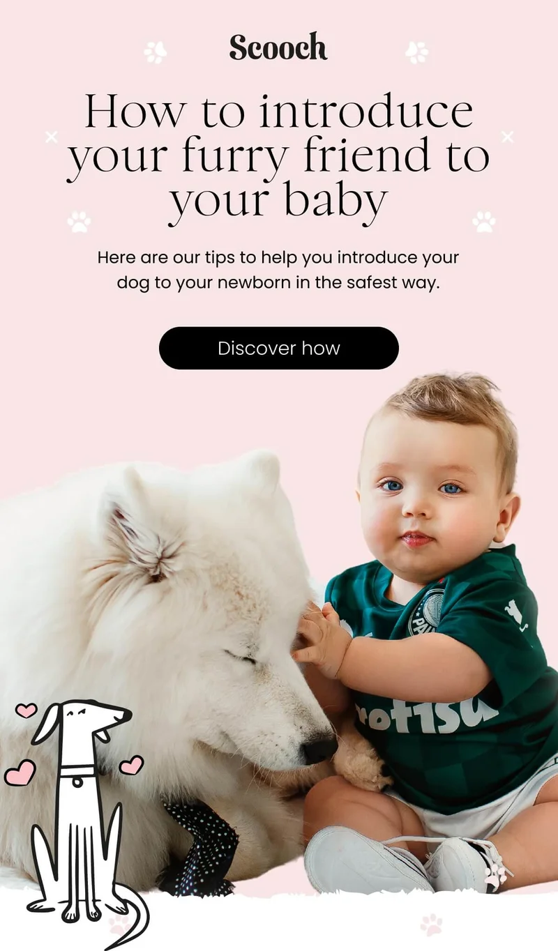 Here are our tips to help you introduce your dog to your newborn in the safest way.  Discover how
