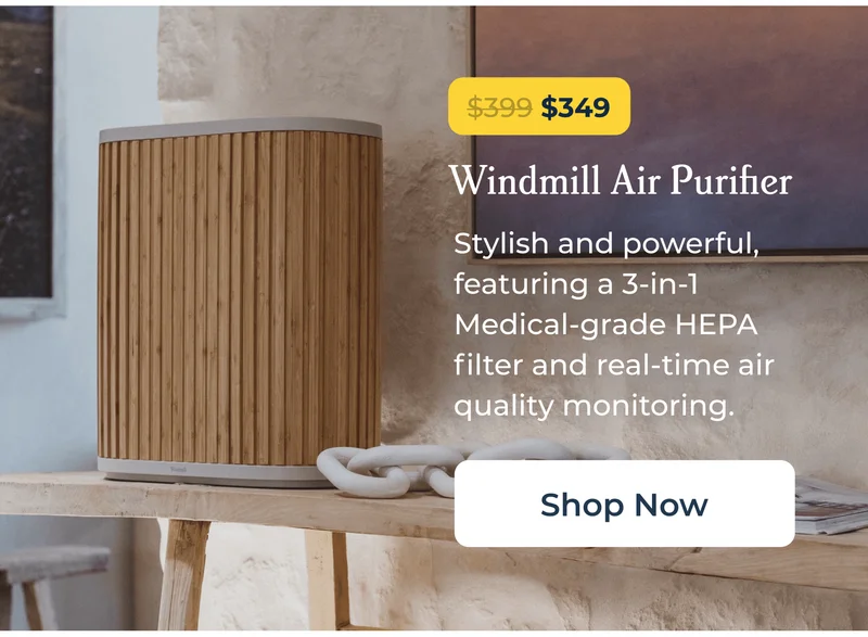 The Windmill Air Purifier