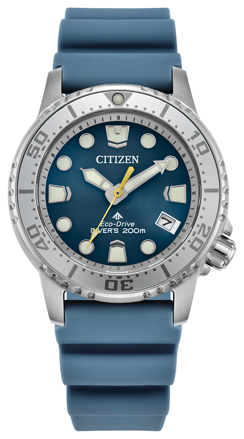 Image of Promaster Dive
