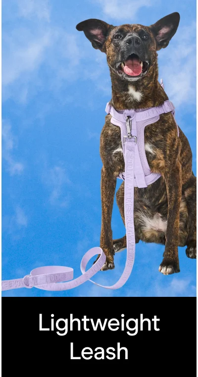 Light Leash