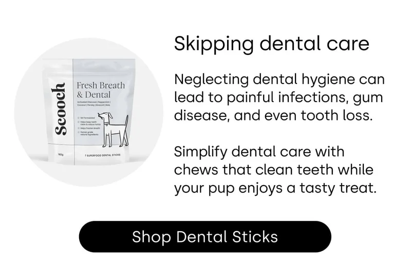 Skipping dental care - Shop Dental Sticks