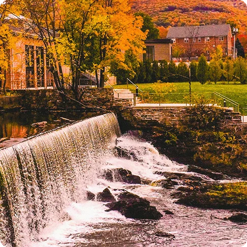 Image Description: Trees with colorful leaves by a waterfall.