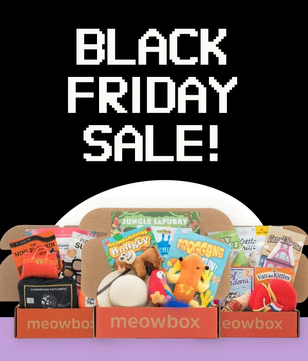 Black Friday Sale! Image of the Jungle Safurry, Cats with Cash and Whiskers & Windmills meowboxes