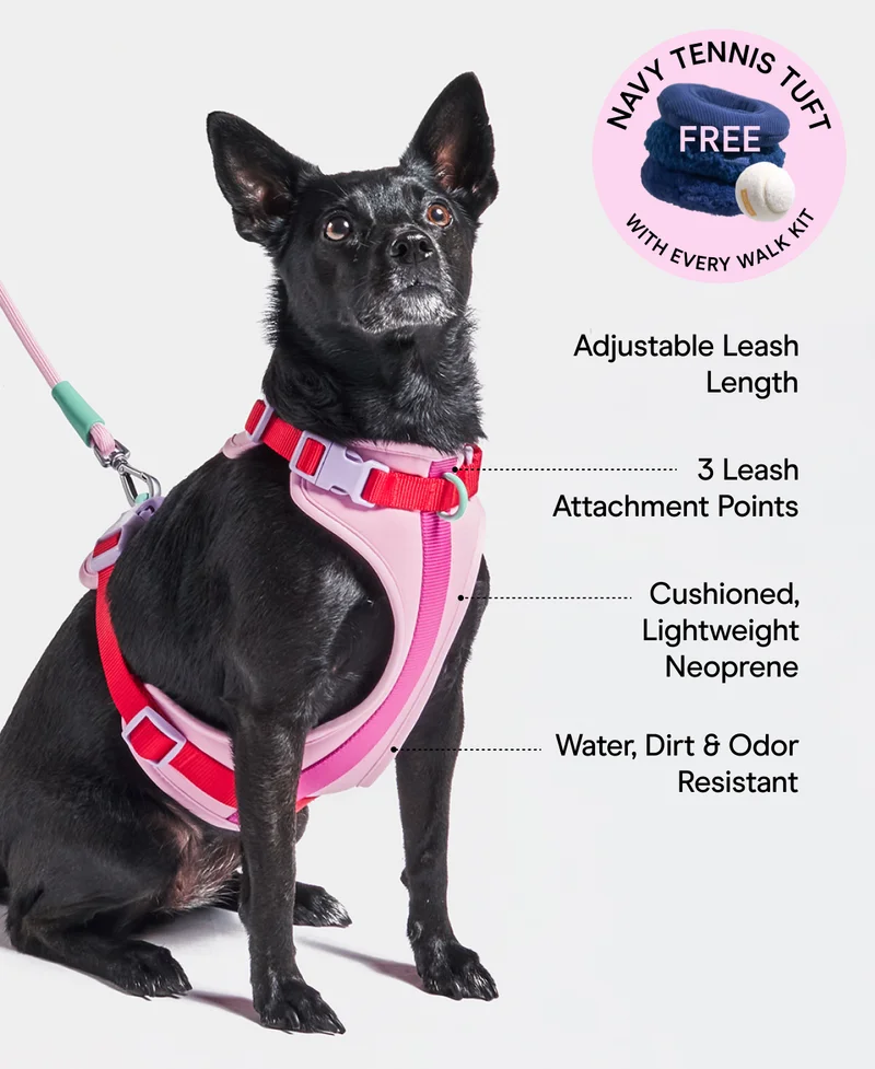 Why You’ll Love Our Walk Kit FREE Adjustable Leash Length 3 Leash Attachment Points Cushioned, Lightweight Neoprene Water, Dirt & Odor Resistant
