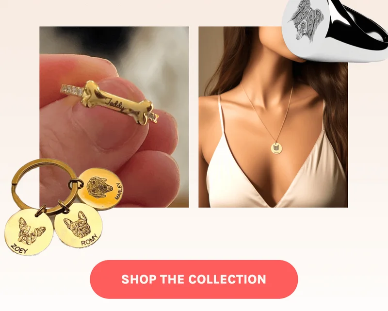 Shop The Collection