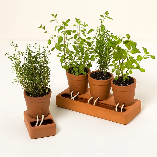 Self-Care Planter