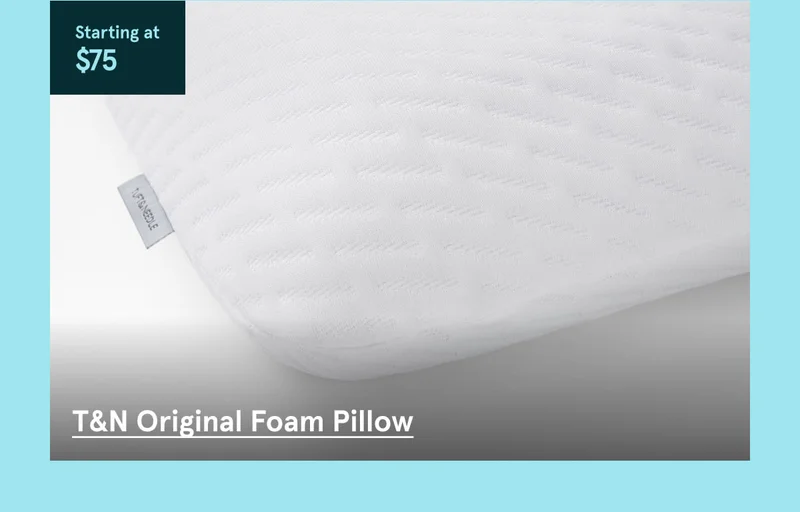 T&N Original Foam Pillow
