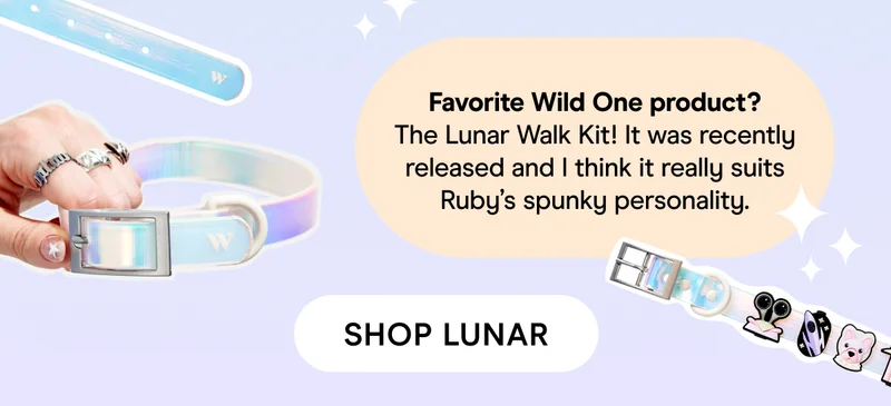 Lunar