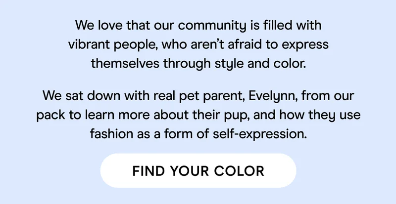 Read More