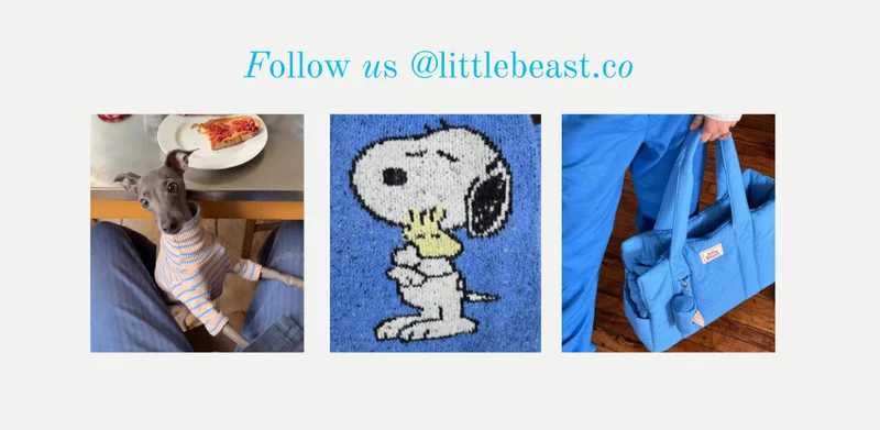 Follow us on Instagram