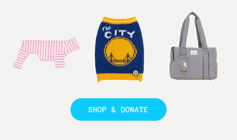 Shop & Donate