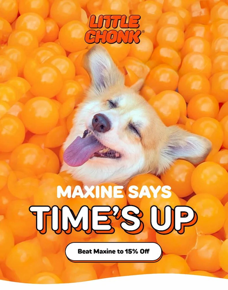 MAXINE SAYS time’s up TIME’S UP
