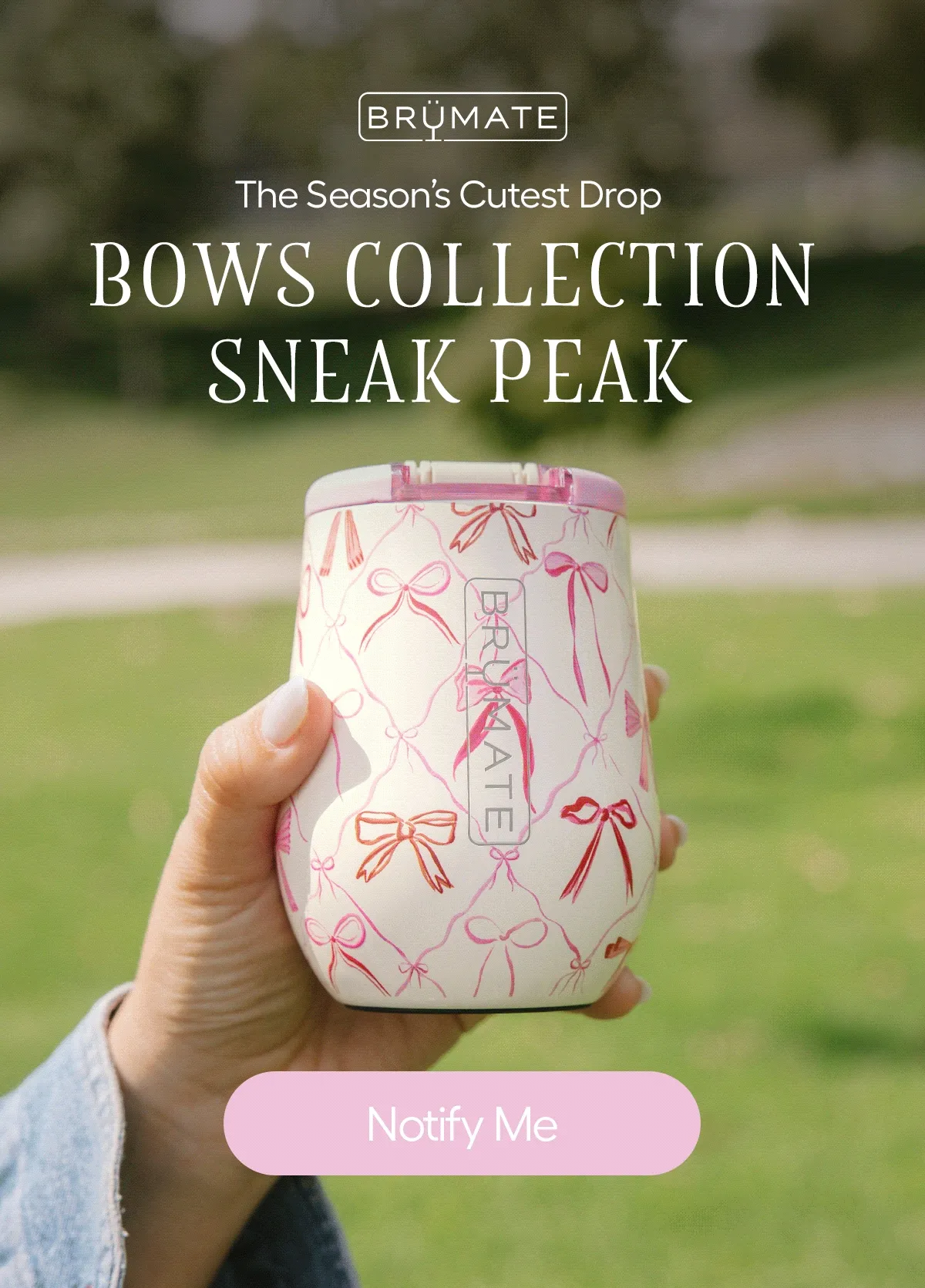 The Season's Cutest Drop. Bows Collection Sneak Peak - Notify Me