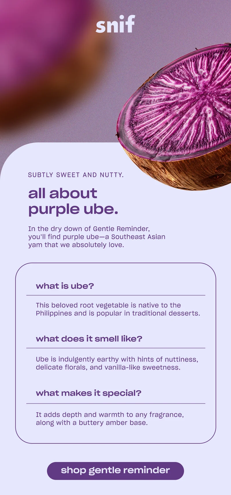 In the dry down of Gentle Reminder, you’ll find purple ube—a Southeast Asian yam that we absolutely fell in love with.   what is purple ube? This beloved root vegetable is native to the Philippines and is popular in traditional desserts.  what does it smell like? Ube is indulgently earthy with hints of nuttiness, delicate florals, and vanilla-like sweetness.  what makes it special? It adds texture and warmth to any fragrance, along with a buttery amber base.