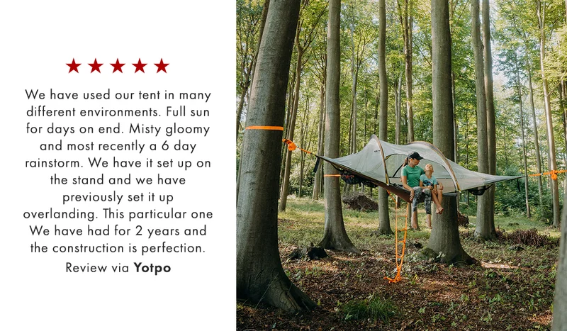 Safari Stingray Review