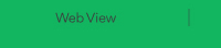 Web View
