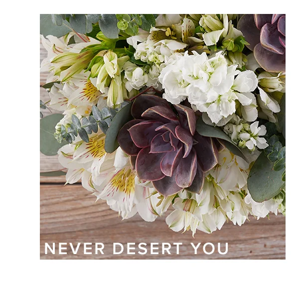 NEVER DESERT YOU