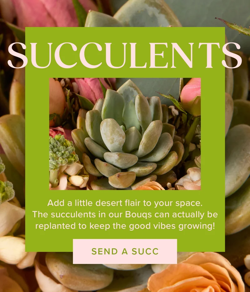 SUCCULENTS Add a little desert flair to your space. The succulents in our Bougs can actually be replanted to keep the good vibes growing! SEND A SUCC