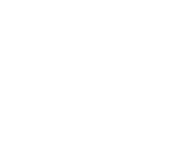 ACTUAL VEGGIES LOGO