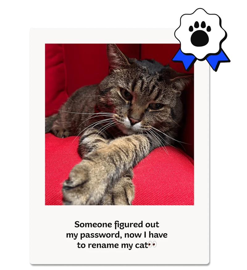 Someone figured out my password